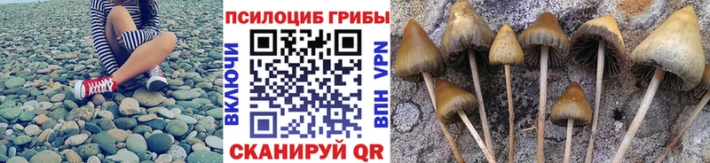 мориарти Telegram  как найти   Псков  Галлюциногенные грибы мухоморы 