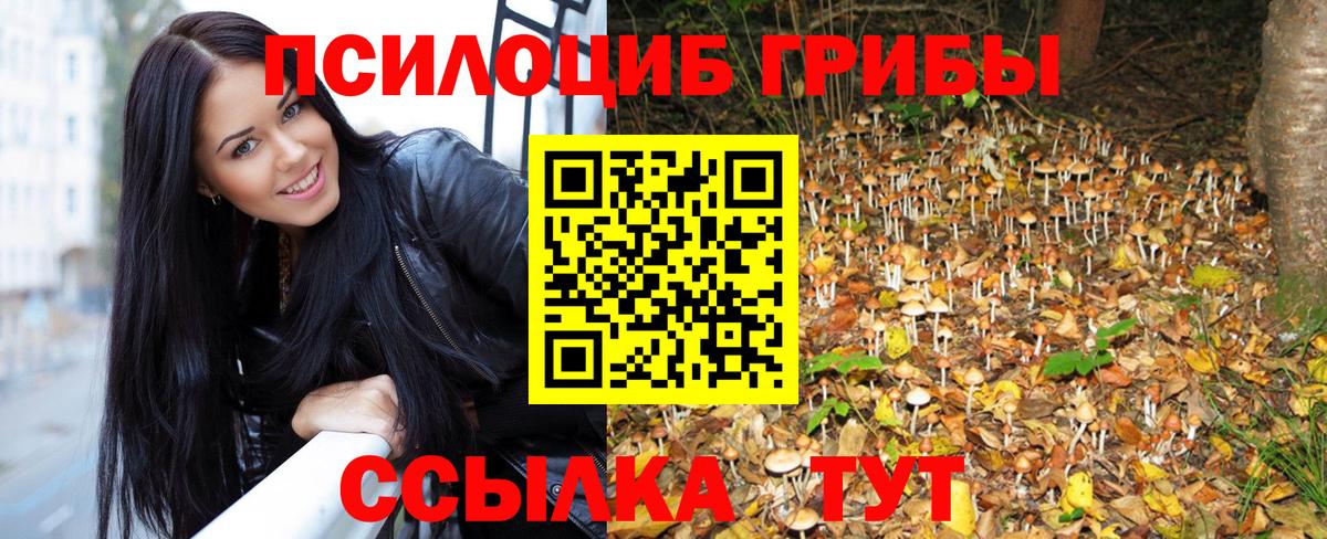 Псков  Галлюциногенные грибы мухоморы  Вход с VPN  Псилоцибиновые грибы Psilocybine cubensis 