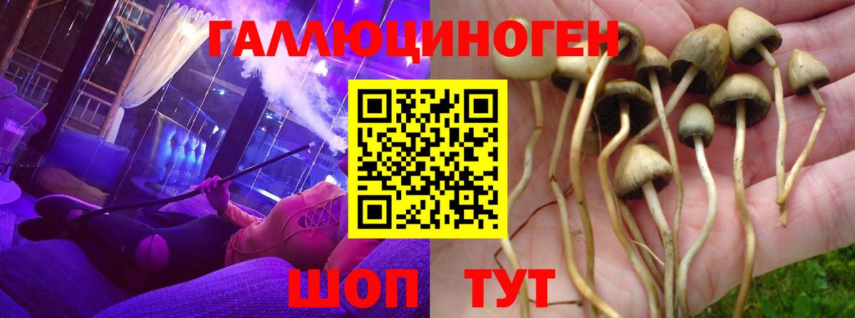 Галлюциногенные грибы мухоморы Псков